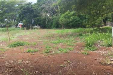 Street level view of vacant lot with trees and cleared area in La Chorrera Panama
