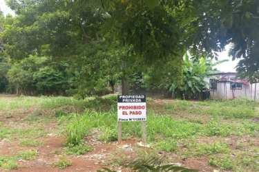Private property sign in Spanish placed on land lot with grass and trees in La Chorrera Panama