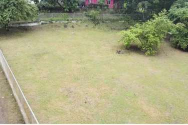 Vacant land with fencing and trees, suitable for residential or commercial use in Panama Oeste