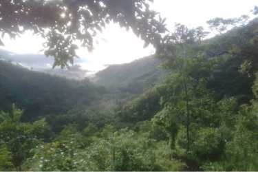 Green hills with dense vegetation, rural property Veraguas Panama