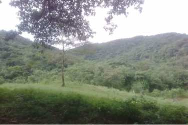 Forested hills and natural valley, rural land Pacific coast Panama