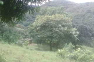 Land for Sale in Soná - 0 bedrooms