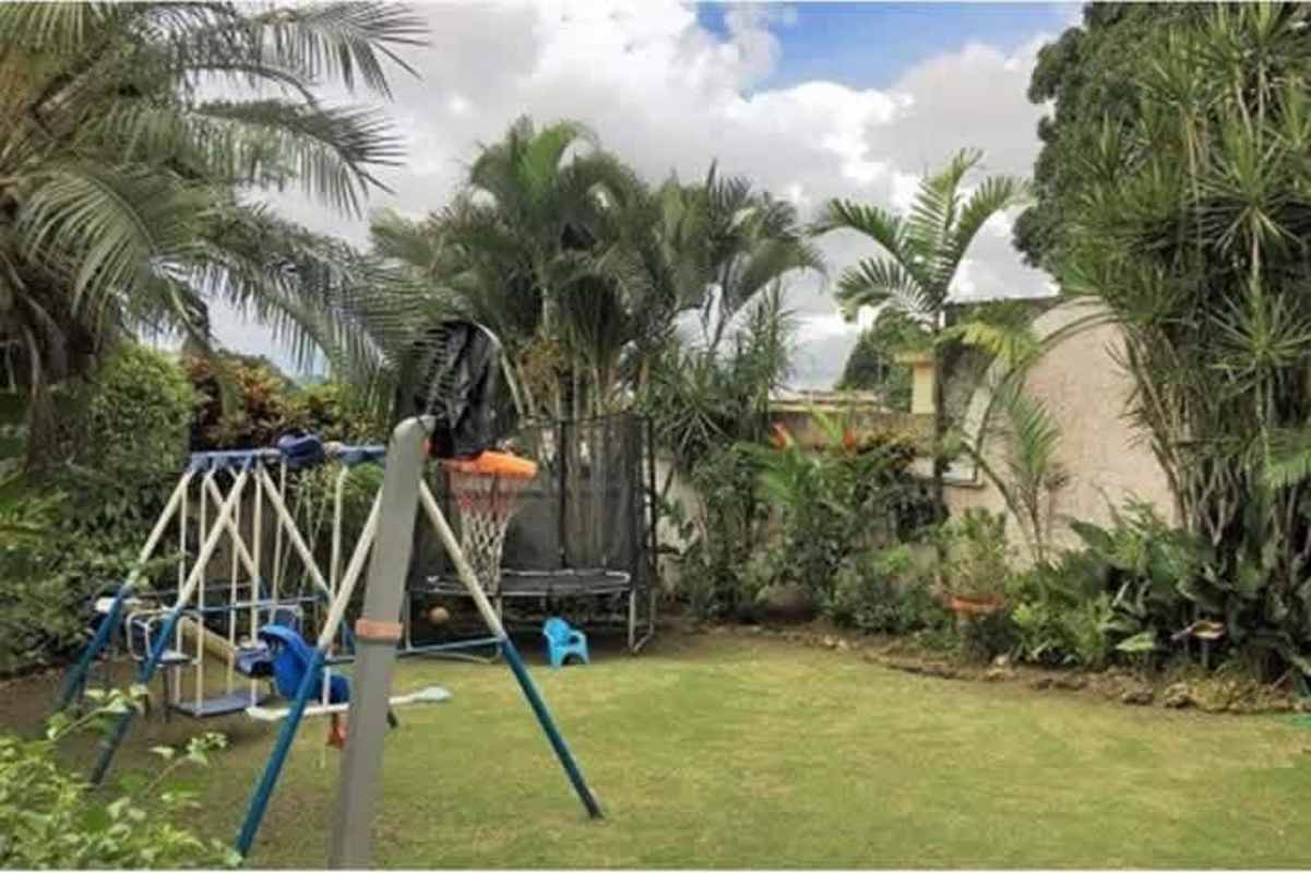 Tropical garden yard with trampoline, tropical plants, and lawn in duplex Betania Panama City