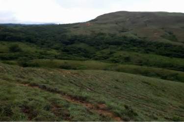 Large rural plot with grasslands, hills ideal for agriculture and ranching in Coclé Panama