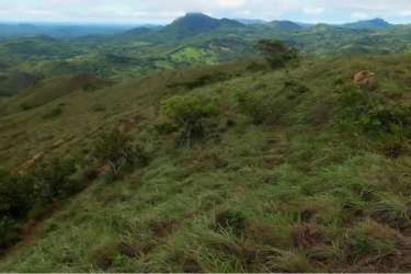 Scenic landscape of rolling hills and green fields for agriculture in Coclé Panama