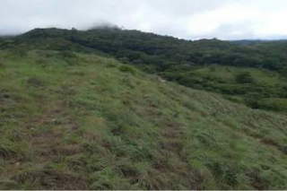 Ranch Land for Sale in La Pintada - 0 bedrooms