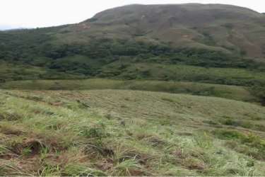 Natural ranch land landscape with meadows and forest in Piedras Gordas Coclé