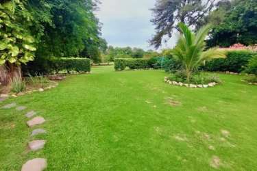 Spacious landscaped backyard garden at golf resort villa in Coronado Panama