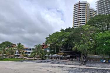 Oceanfront view from penthouse terrace with coastline and tropical landscape