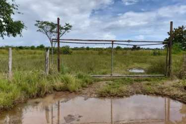 Rustic pastureland with fencing and natural vegetation in Chiriquí countryside Panama