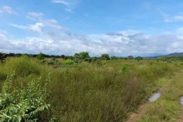 Open flat grassy farmland with dirt path and distant mountain view in Chiriquí Panama