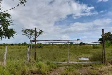 Metal gate with barbed wire fencing opening to flat pastureland under cloudy sky in San Lorenzo Dolega
