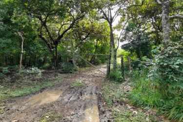 Dirt road running through wooded flat farmland in San Lorenzo Chiriquí Panama