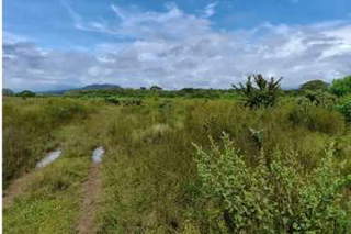 Farmland for Sale in Dolega - 0 bedrooms