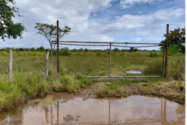 Metal gate opens to wide open grass pasture under cloudy sky in Chiriquí Panama