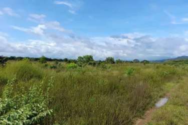 Open green field suitable for farming and livestock in San Lorenzo Chiriquí Panama