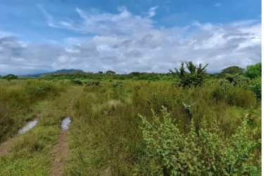 207 Acre Agricultural Farm For Sale San Lorenzo Chiriquí