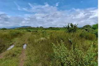 Land / Farm / Agricultural Estate for Sale in San Lorenzo - 0 bedrooms