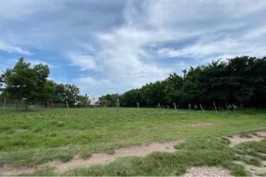 Grassy fenced lot with scattered trees close to Santa Clara Beach Rio Hato Panama