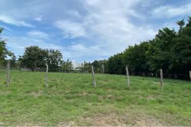 Open natural landscape with fence and green fields near beach in Panama