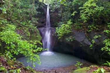 Natural secluded waterfall surrounded by lush greenery at Altos del María in Panama