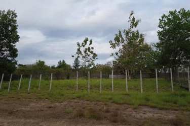 Grassy fenced land plot with trees under tropical sky near Rio Hato beaches Panama