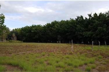 Vacant 2,000m² flat lot with grassy surface, fence, and trees near Pacific beaches of Santa Clara in Coclé Panama.