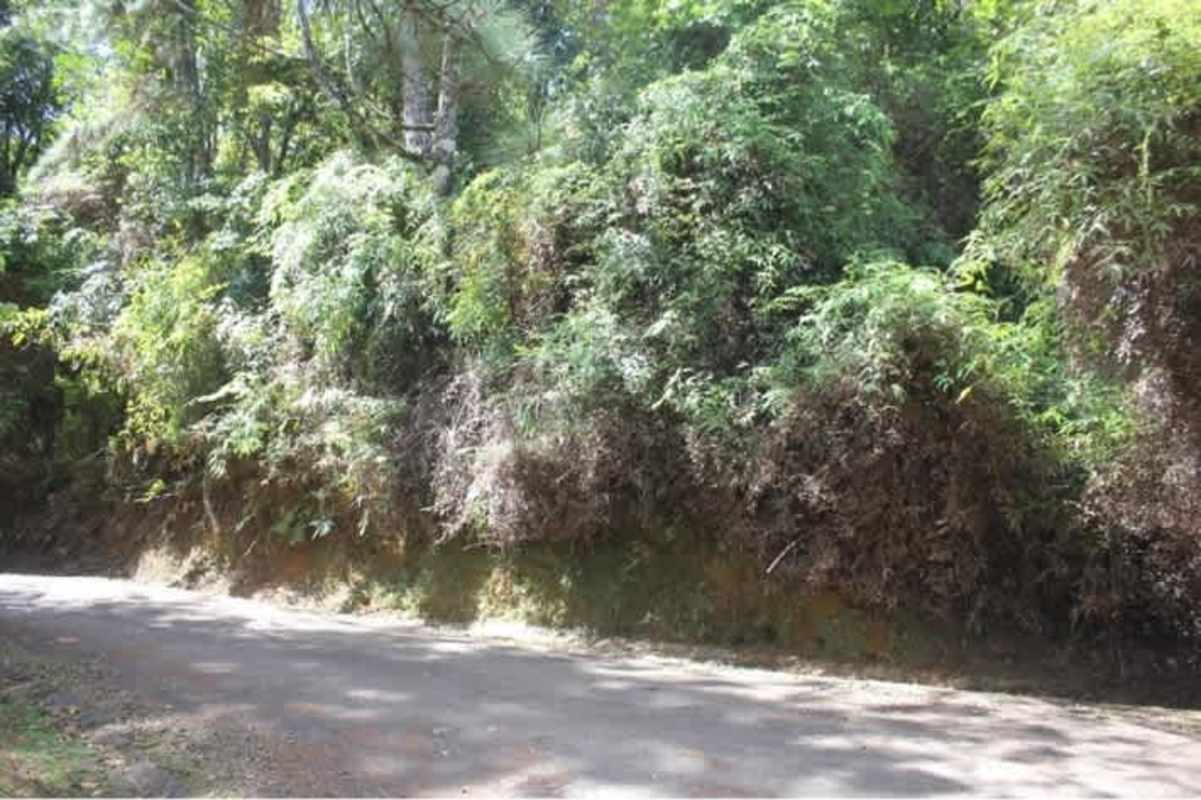 Unpaved road along dense vegetation and natural terrain in Cerro Azul mountain area Panama.