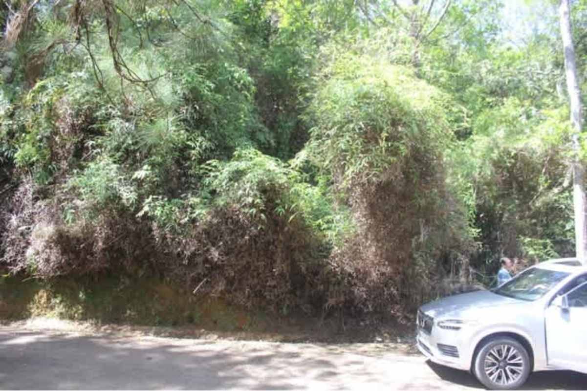 Roadside view wooded lot with dense forest vegetation Cerro Azul Panama.