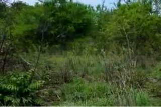 Land for Sale in Chame - 0 bedrooms