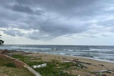 Sandy Caribbean beach near Palenque home for sale with ocean waves and driftwood Panama