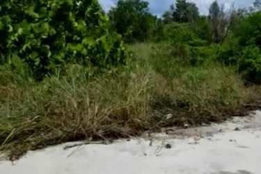 Dense greenery and tropical beach landscape of Punta Chame development land