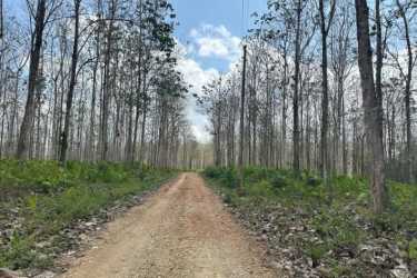 Mountain countryside forested land in Santa Fe Panama prime for forestry residency investment