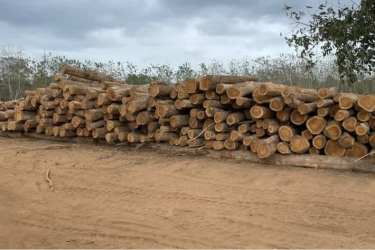 Cleared agricultural land with hillside views in Veraguas Panama for teak pine plantation