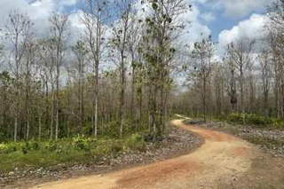 Land for Sale in Santiago - 0 bedrooms