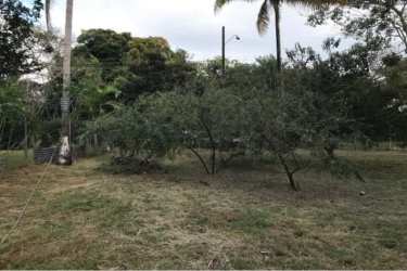 Gorgona Panama Oeste flat beachside land for sale