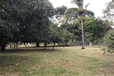 Natural landscape beachfront land lot Gorgona Panama for sale