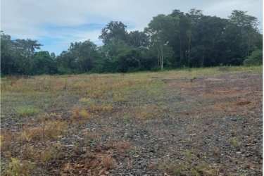 Shaded flat lot with mature trees and abundant greenery in Vista Alegre Arraiján