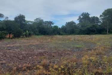 Vacant plot with sparse grass, trees, gravel, and adjacent growing residential area in Vista Alegre Arraiján Panama
