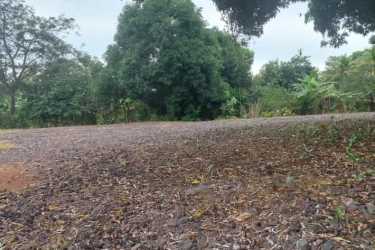 Cleared flat lot with vegetation ready for commercial or residential development in Vista Alegre
