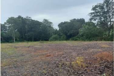 Corner lot bordering neighborhood streets suitable for development in Vista Alegre Arraiján