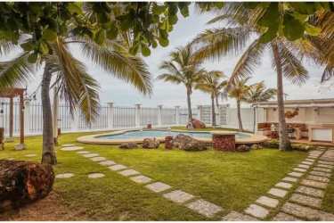 Kidney-shaped swimming pool with jacuzzi, palm trees and ocean view in Playa Malibú
