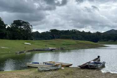 Timber producing wooded land with valuable trees on Caribbean Panama coast