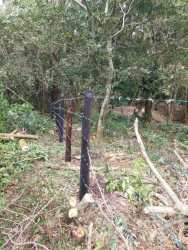 Wooded fenced boundary on Palmira land lot for sale in Boquete highlands