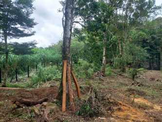 Secure entry metal gate on rural land property in Palmira Boquete Chiriquí Panama