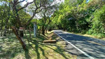 Paved rural road alongside forest area entrance in El Valle Panama countryside