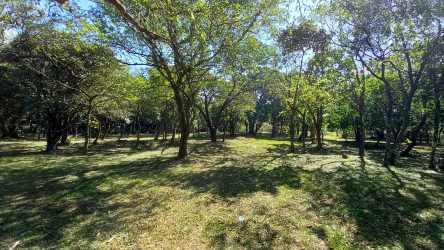 Wooded lot open grassy clearing mature trees Valle de Antón Panama for sale