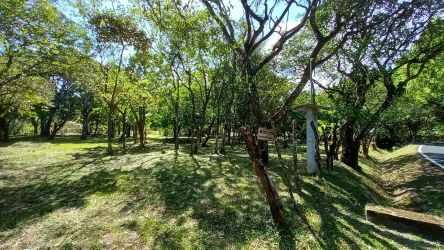 Wooded residential lot with partial clearing mature trees in Valle de Antón Panama