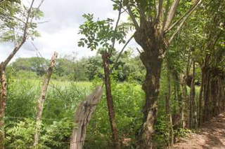 Land for Sale in El Tejar - 0 bedrooms