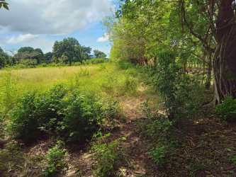 Flat pastureland bordered by greenery under sunny skies in rural Panama